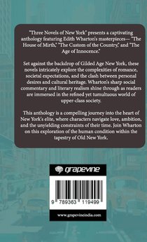 Three Novels of New York achterzijde