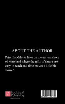 New Red Chairs achterzijde