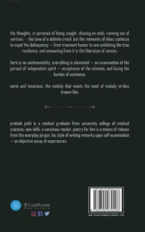 Anatomy of A Self-Indulgent Moon Gazer achterzijde