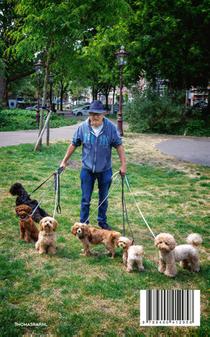 Schoofhondjes en andere afgerichte huisdieren achterzijde