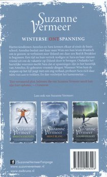 Het chalet achterzijde