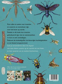 Insecten achterzijde