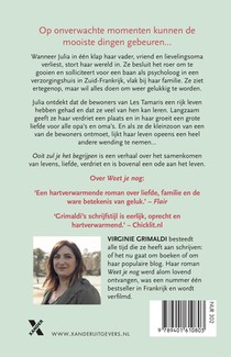 Ooit zul je het begrijpen achterzijde