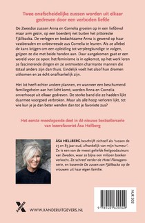 De zussen van Fjällbacka achterzijde