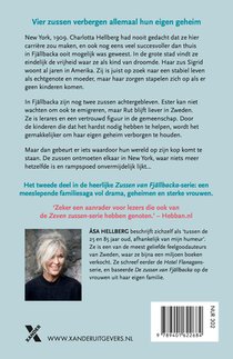 Grote dromen achterzijde