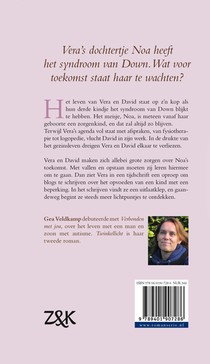 Twinkellicht achterzijde