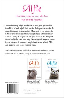 Kat voor de deur achterzijde