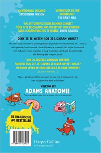 Adams anatomie achterzijde