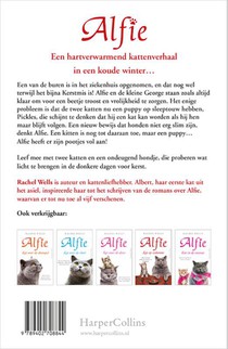 Kat in de kou achterzijde