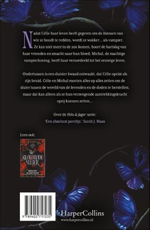 De schaduwbruid achterzijde