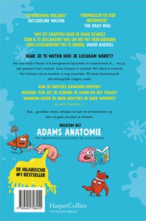 Adams anatomie achterzijde