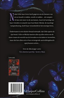 De schaduwbruid achterzijde