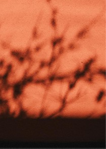 Rooted Spaces achterzijde