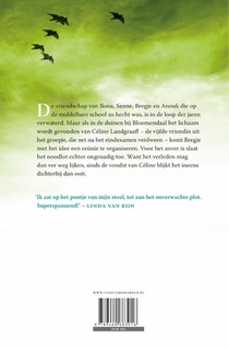 Flashback achterzijde