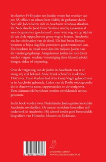 Auschwitz achterzijde