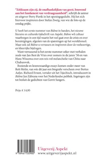 Buhne achterzijde