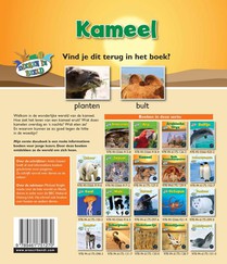 Kameel achterzijde