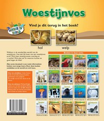 Woestijnvos achterzijde