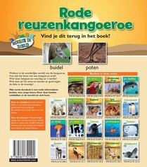 Rode reuzenkangoeroe achterzijde