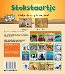 Stokstaartje achterzijde