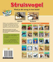 Struisvogel achterzijde