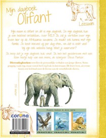 Olifant achterzijde