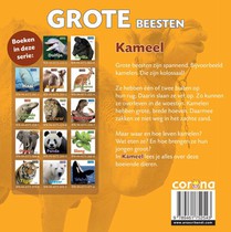 Kameel achterzijde