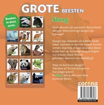 Slang achterzijde