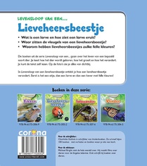 Lieveheersbeestje achterzijde