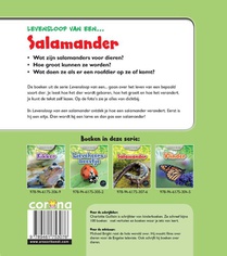 Salamander achterzijde