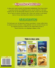 Grasvlakten achterzijde