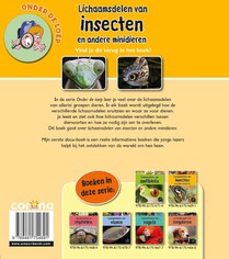 Lichaamsdelen van insecten achterzijde