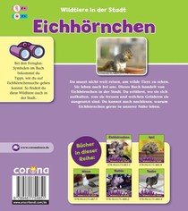 Eichhörnchen achterzijde