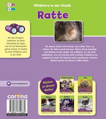 Ratte achterzijde