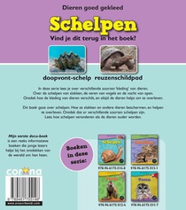 Schelpen achterzijde