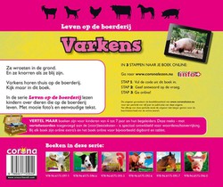 Varkens achterzijde