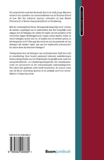 Belangenrijk burgerlijk recht achterzijde