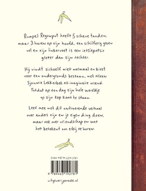 Rumpel Regenput achterzijde