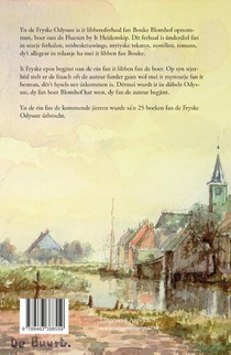 Mei it mystearje achterzijde