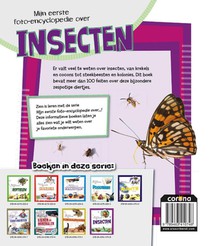 Insecten achterzijde