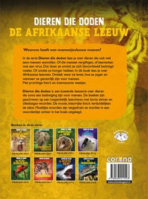 De Afrikaanse leeuw achterzijde