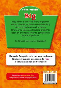 Big achterzijde