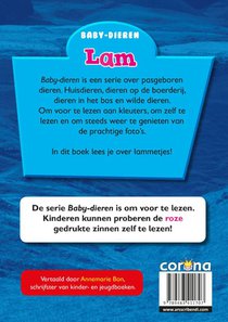 Lam achterzijde