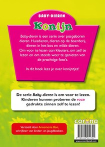 Konijn achterzijde