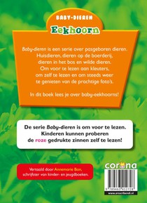 Eekhoorn achterzijde