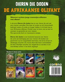 De Afrikaanse olifant achterzijde