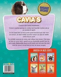 Cavia's achterzijde