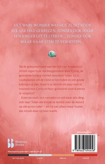 Alizeh. Het lot van de djinn achterzijde