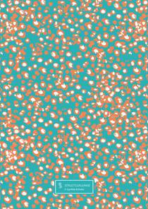 2023/2024 achterzijde