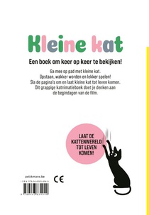 Kleine kat achterzijde